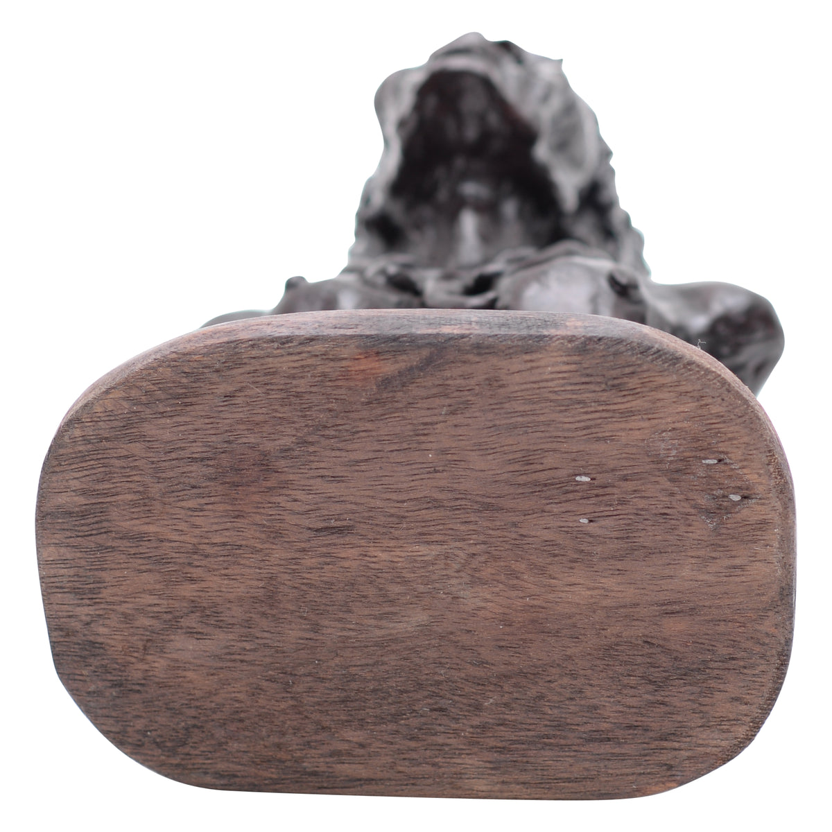 Older man with beard clay bust