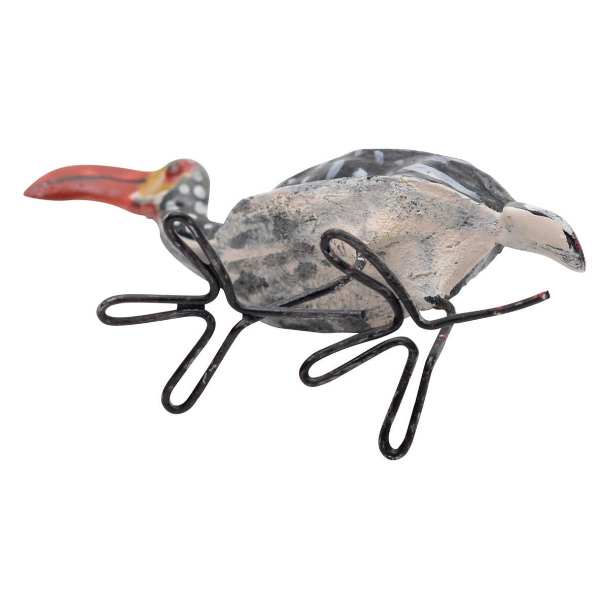 Southern red-billed hornbill ornament