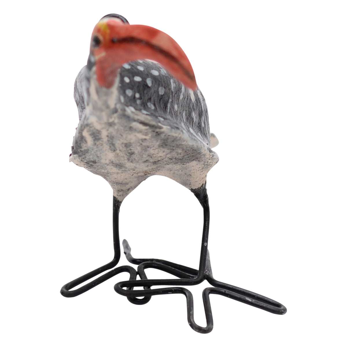 Southern red-billed hornbill ornament