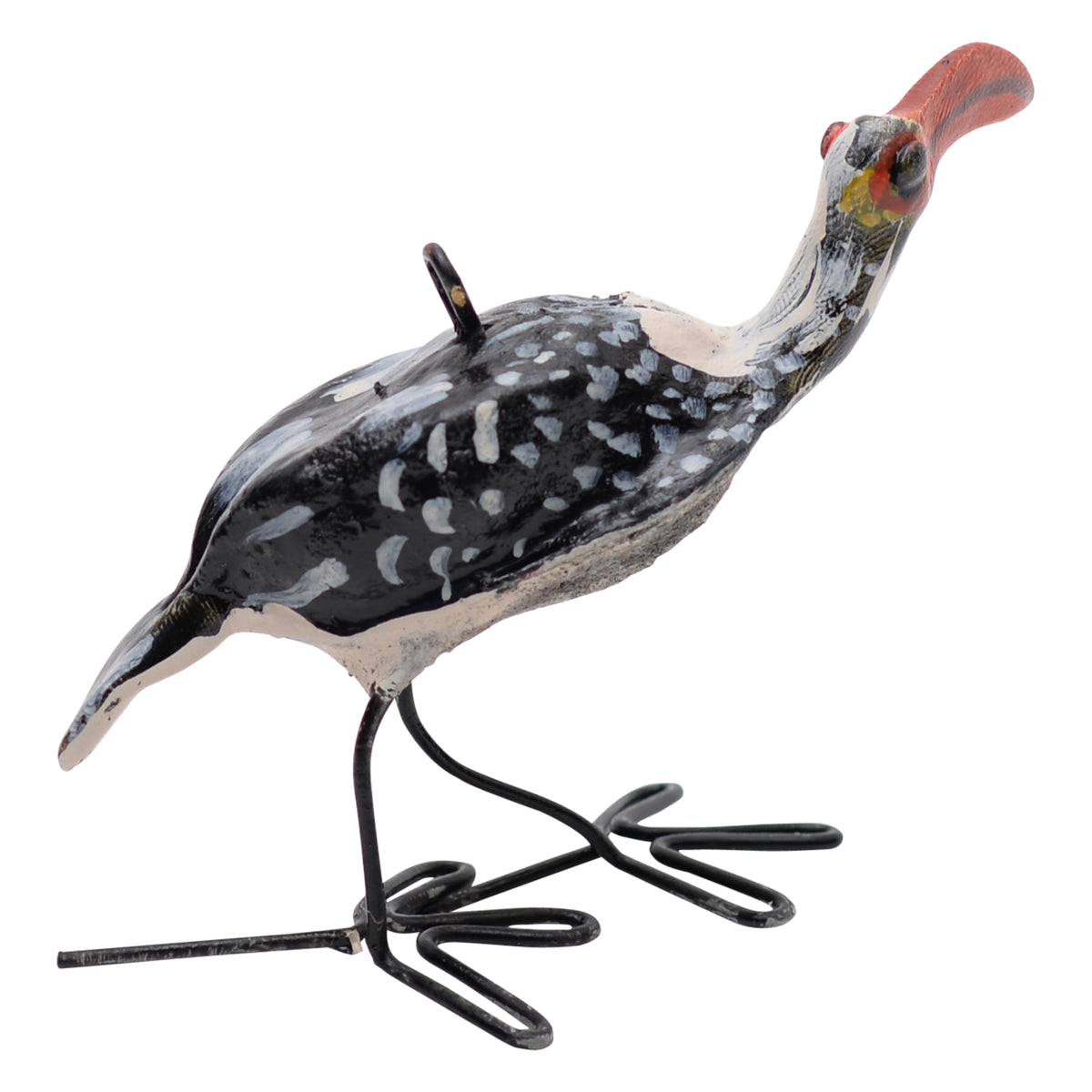 Southern red-billed hornbill ornament