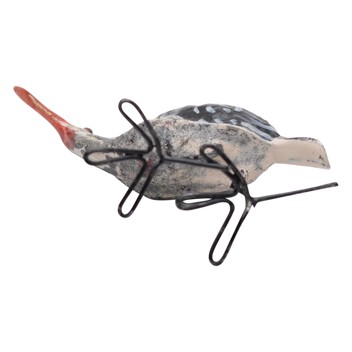 Southern red-billed hornbill ornament