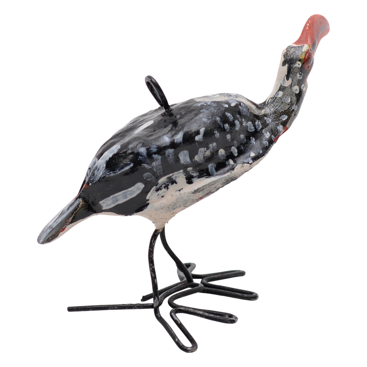 Southern red-billed hornbill ornament