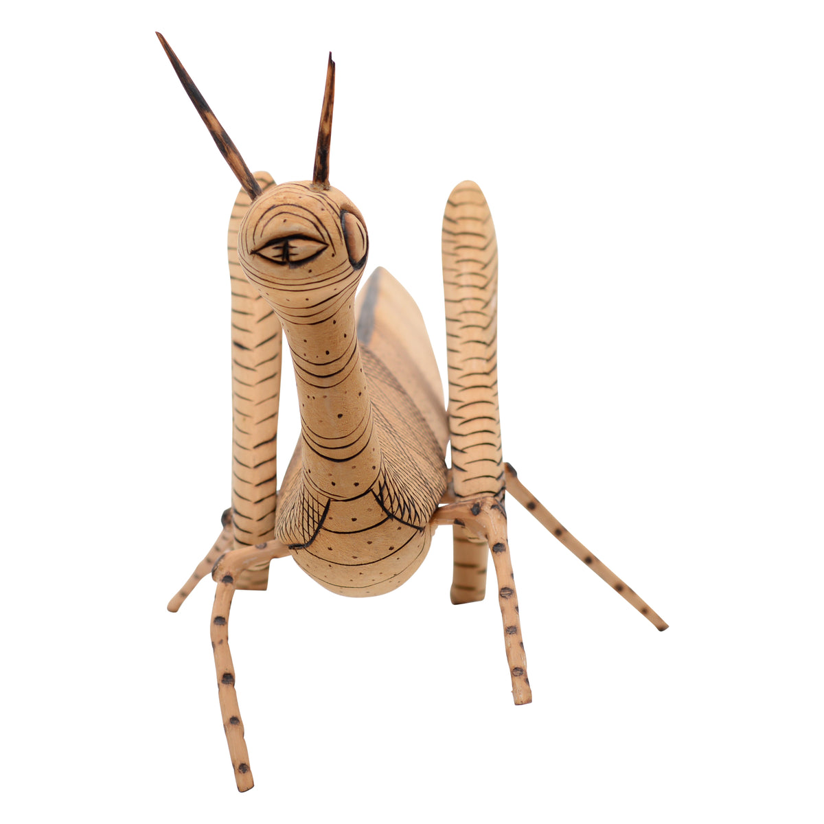 Whimsical grasshopper sculpture