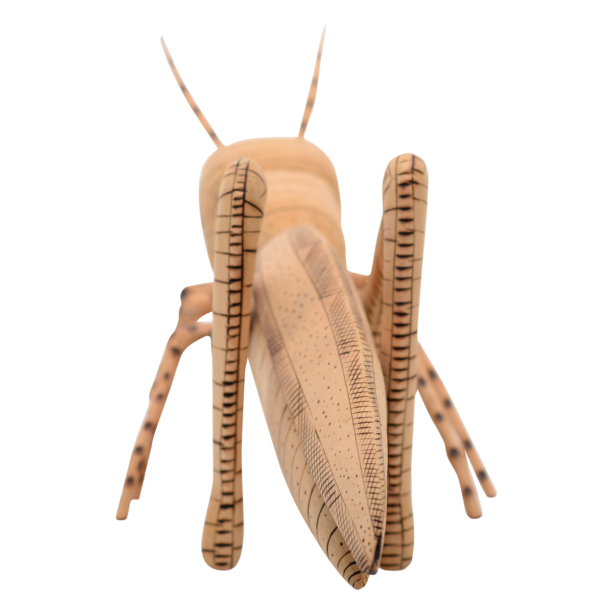 Whimsical cricket sculpture