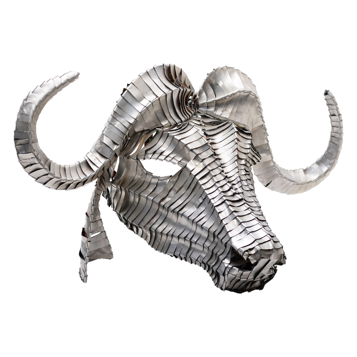 Tin can cape buffalo head mount wall