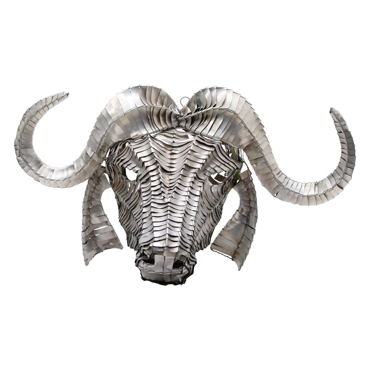 Tin can cape buffalo head mount wall