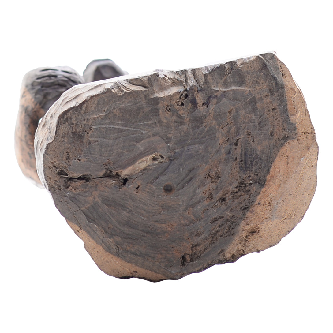 Man with Warthog Head