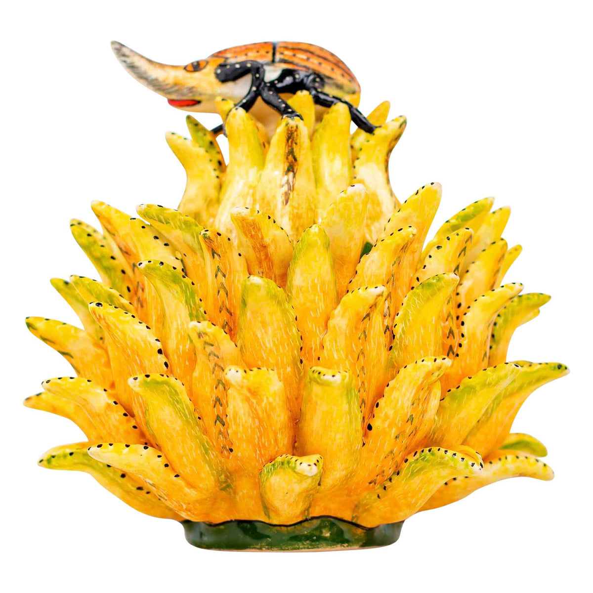 Beetle & protea jewelry box