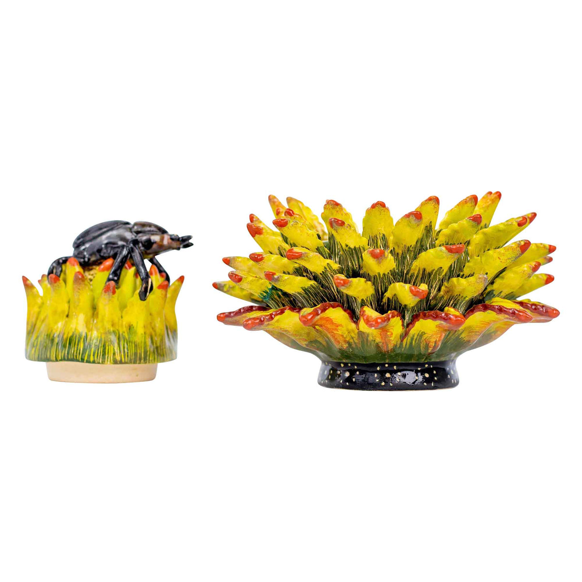 Beetle & aloe jewelry box