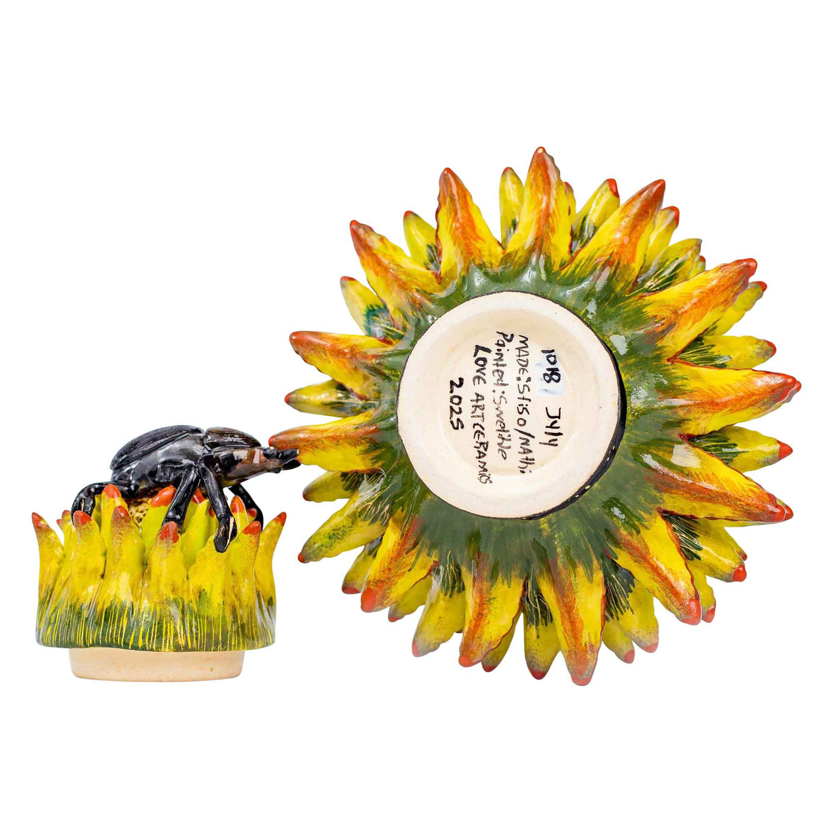 Beetle & aloe jewelry box