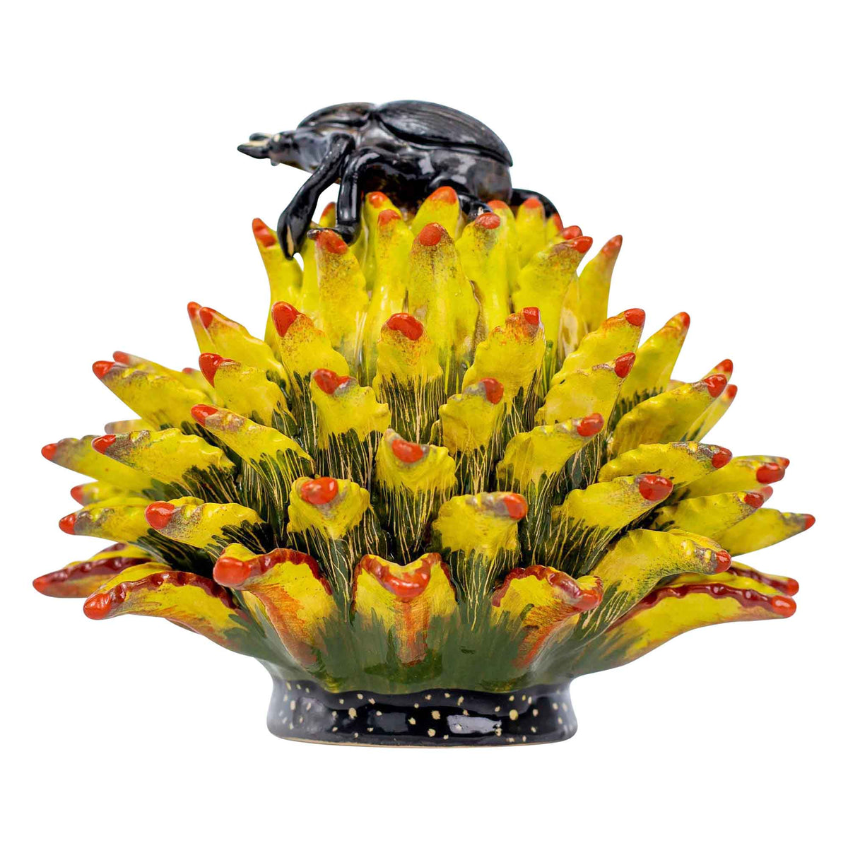 Beetle & aloe jewelry box