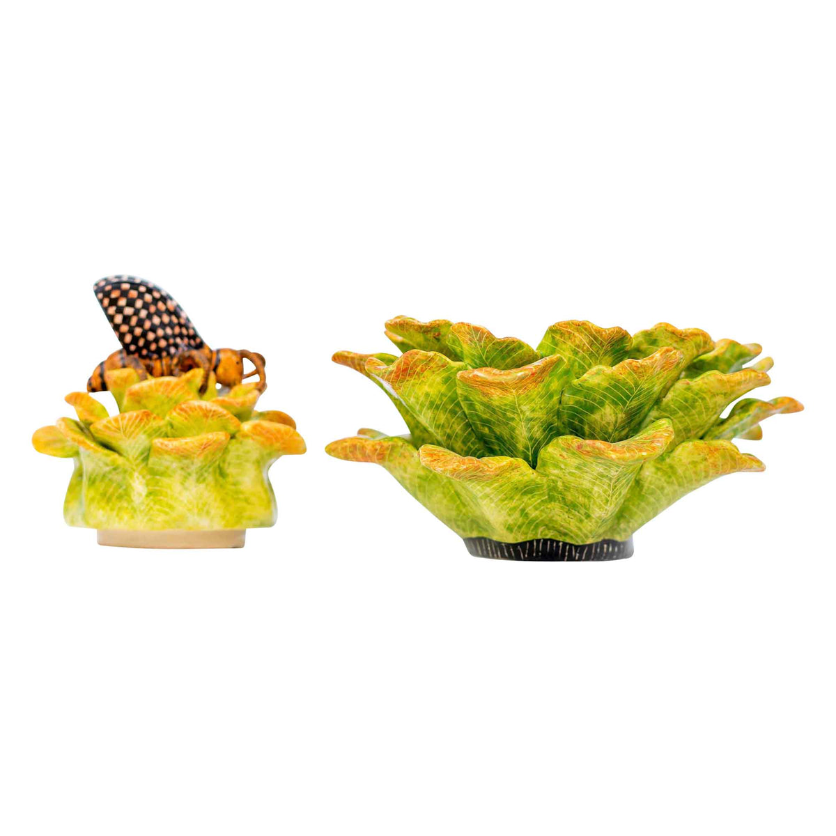 Butterfly & protea jewelry box