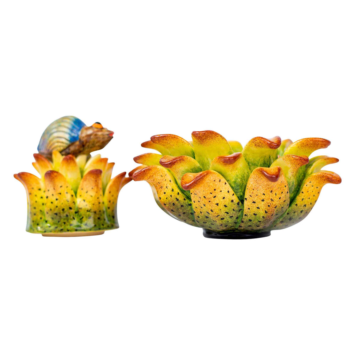 Beetle & protea jewelry box