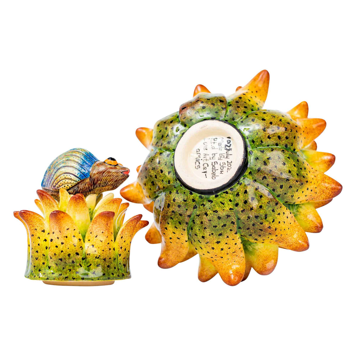 Beetle & protea jewelry box