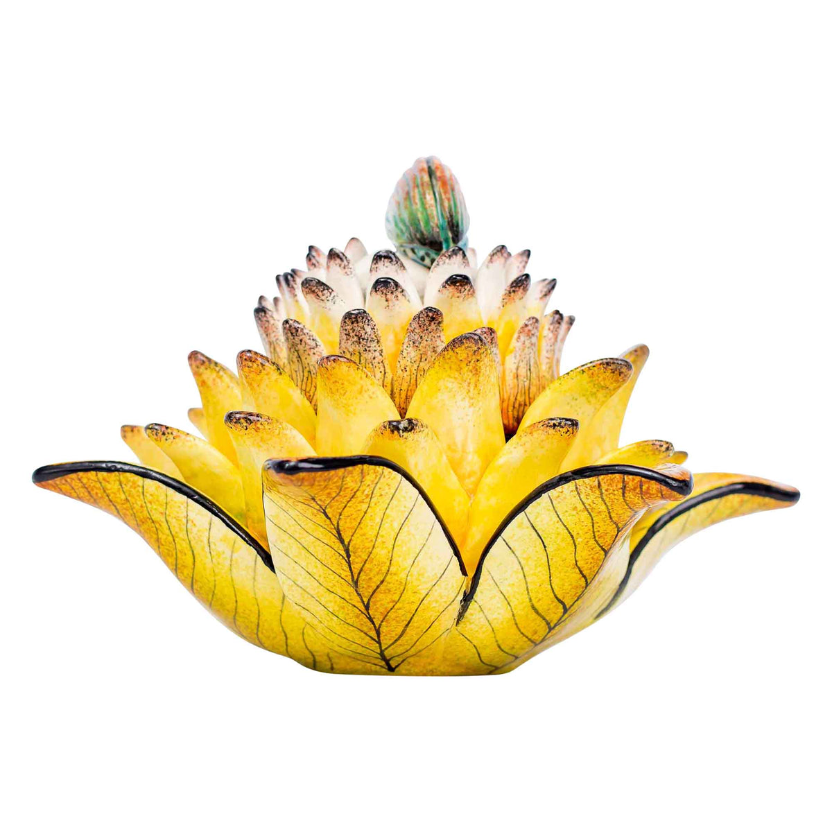 Beetle & protea jewelry box