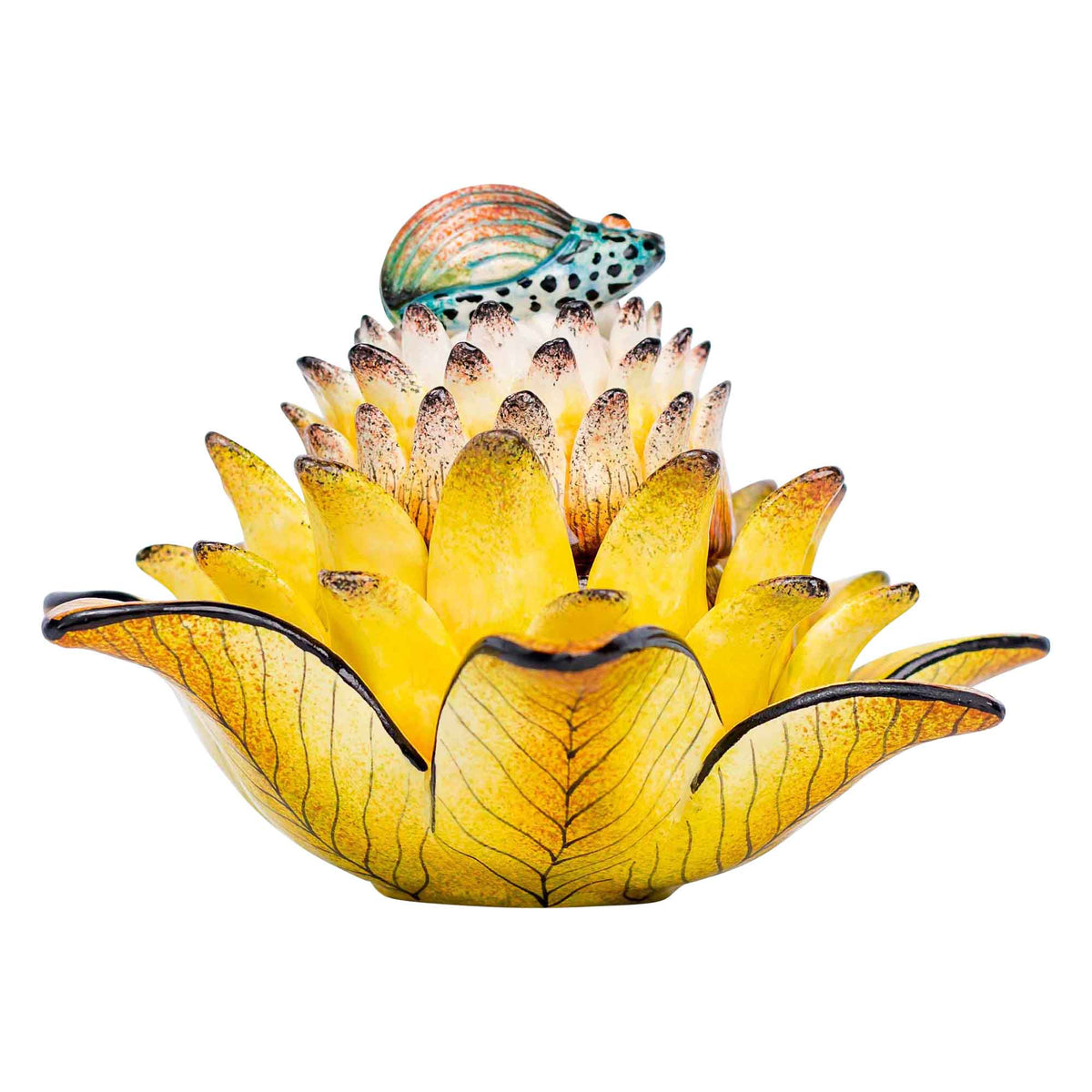 Beetle & protea jewelry box