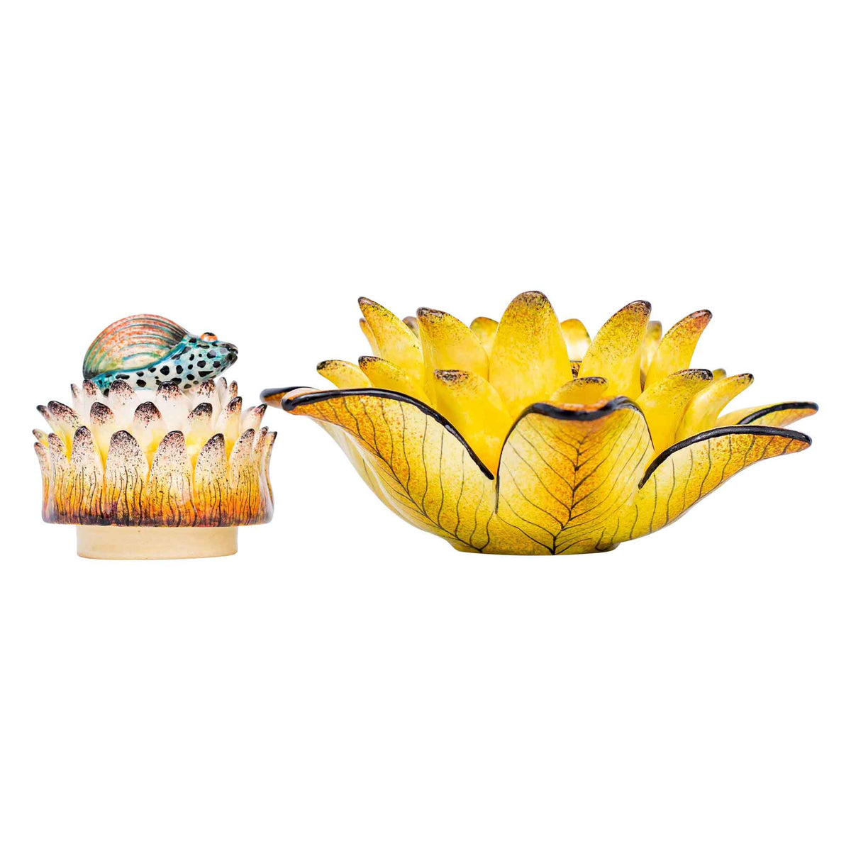 Beetle & protea jewelry box