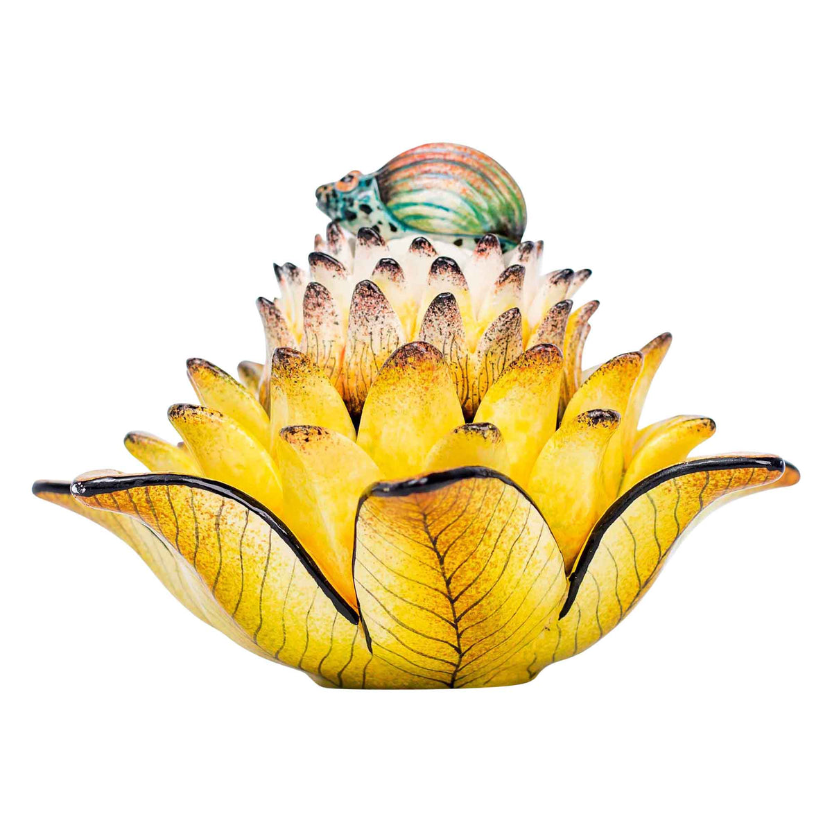 Beetle & protea jewelry box