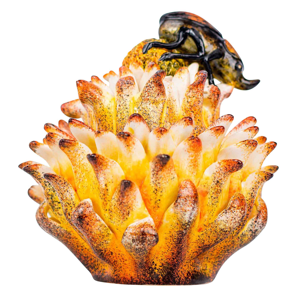 Beetle & protea jewelry box