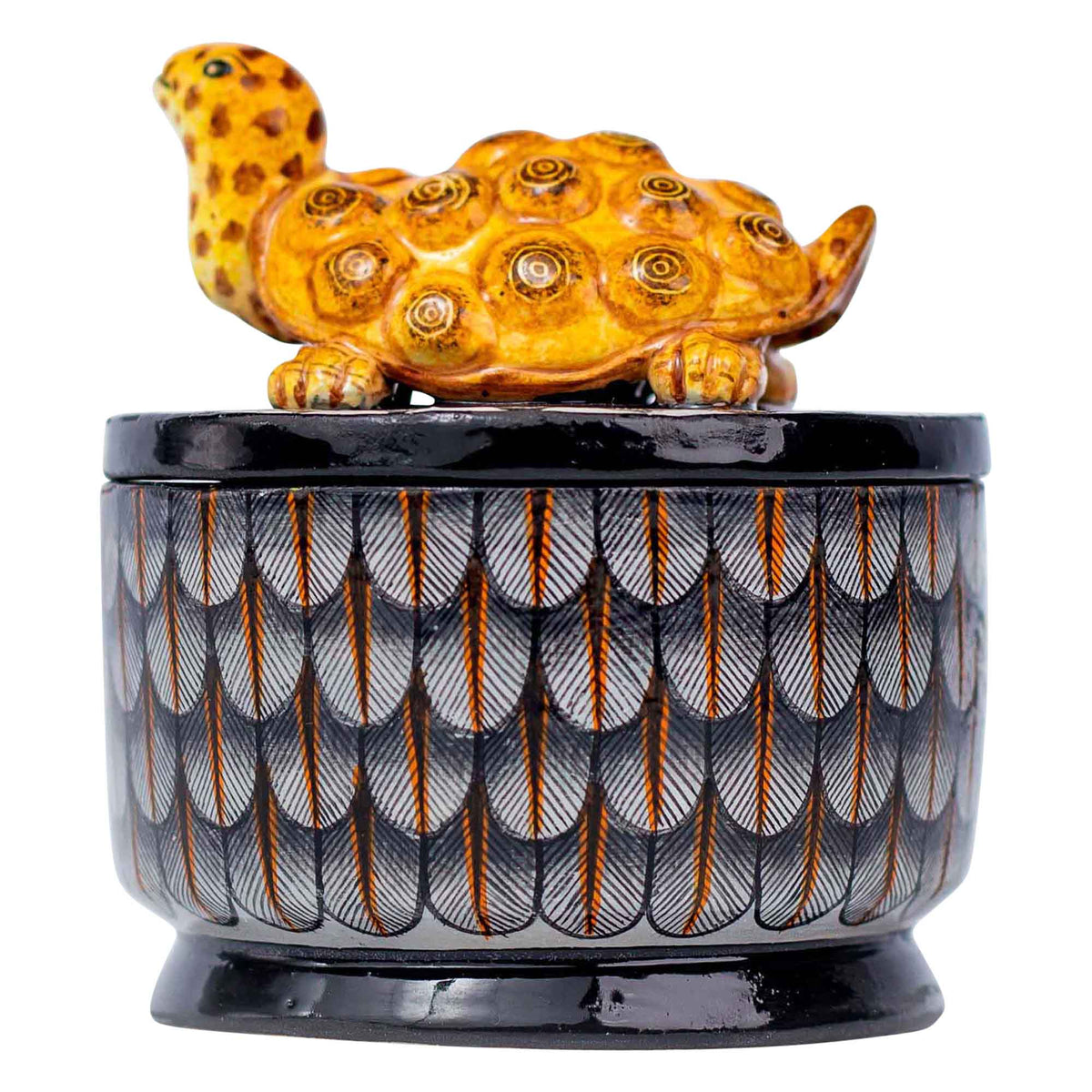 Tortoise jewelry box