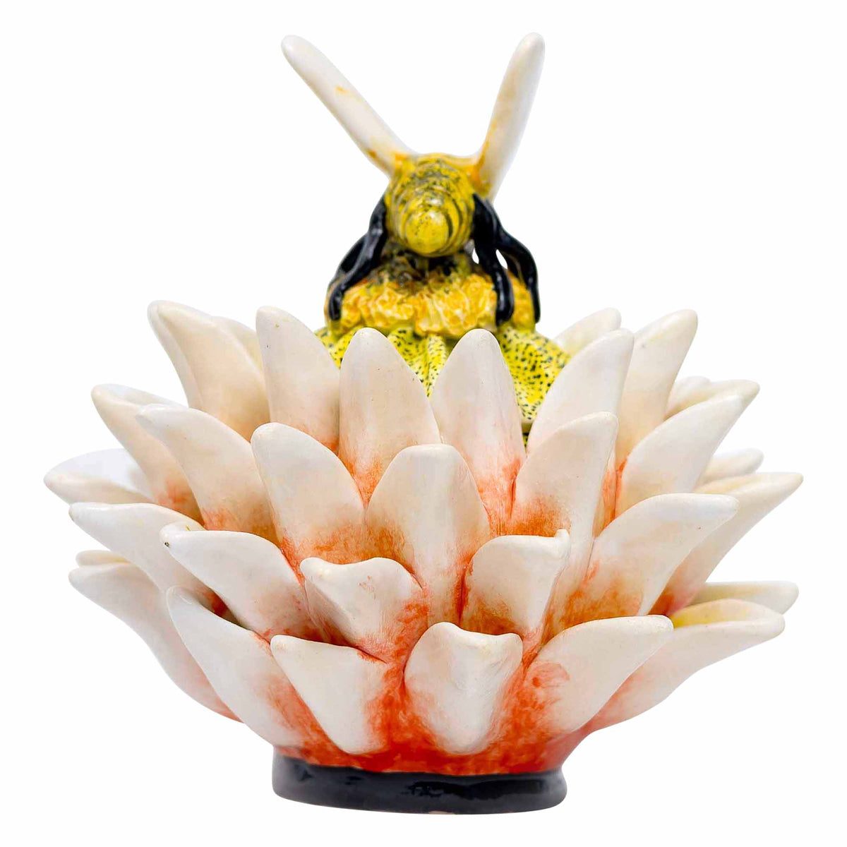 Butterfly, Protea Jewelry Box