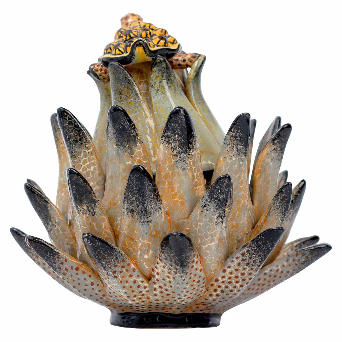 Tortoise/Protea Jewelry Box