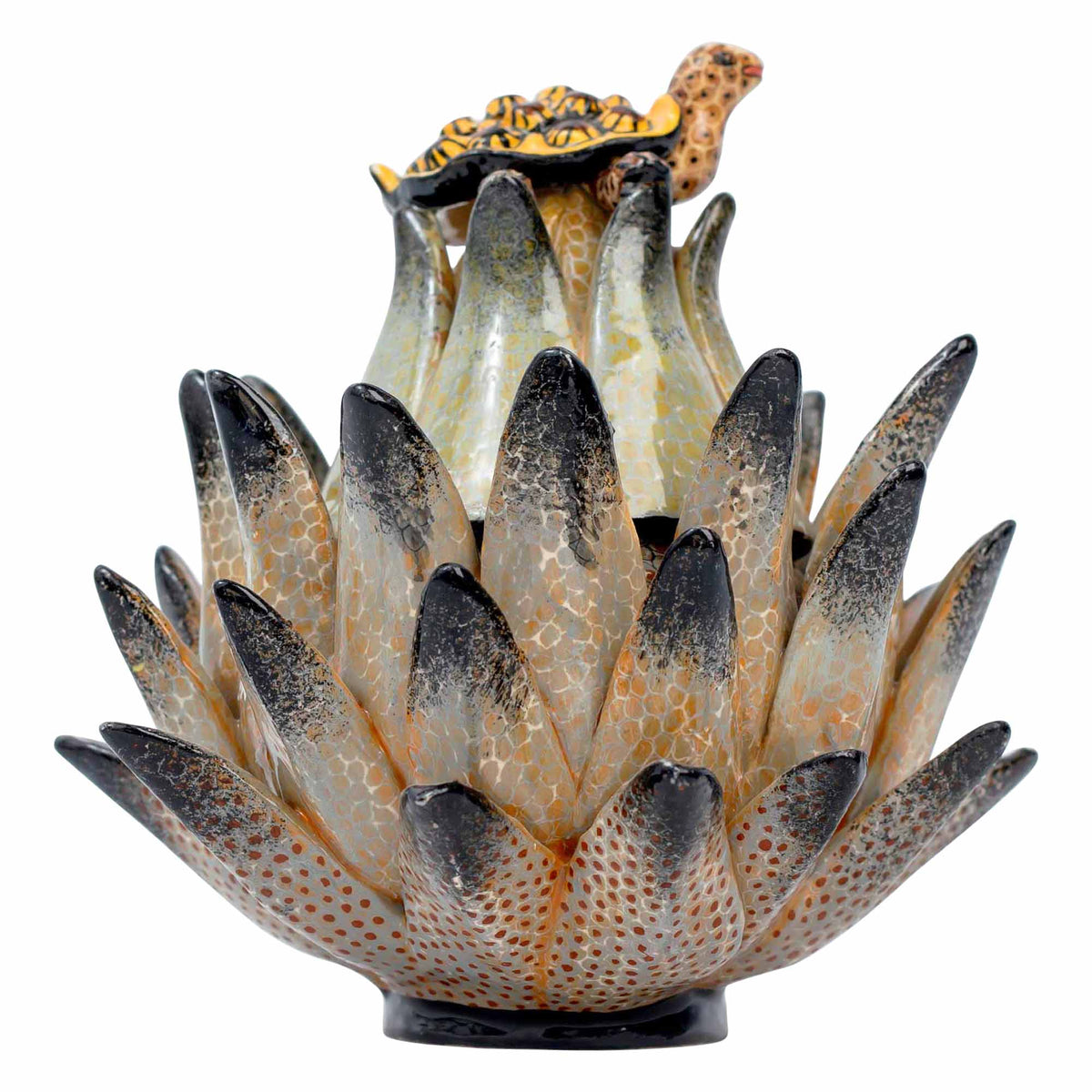 Tortoise/Protea Jewelry Box