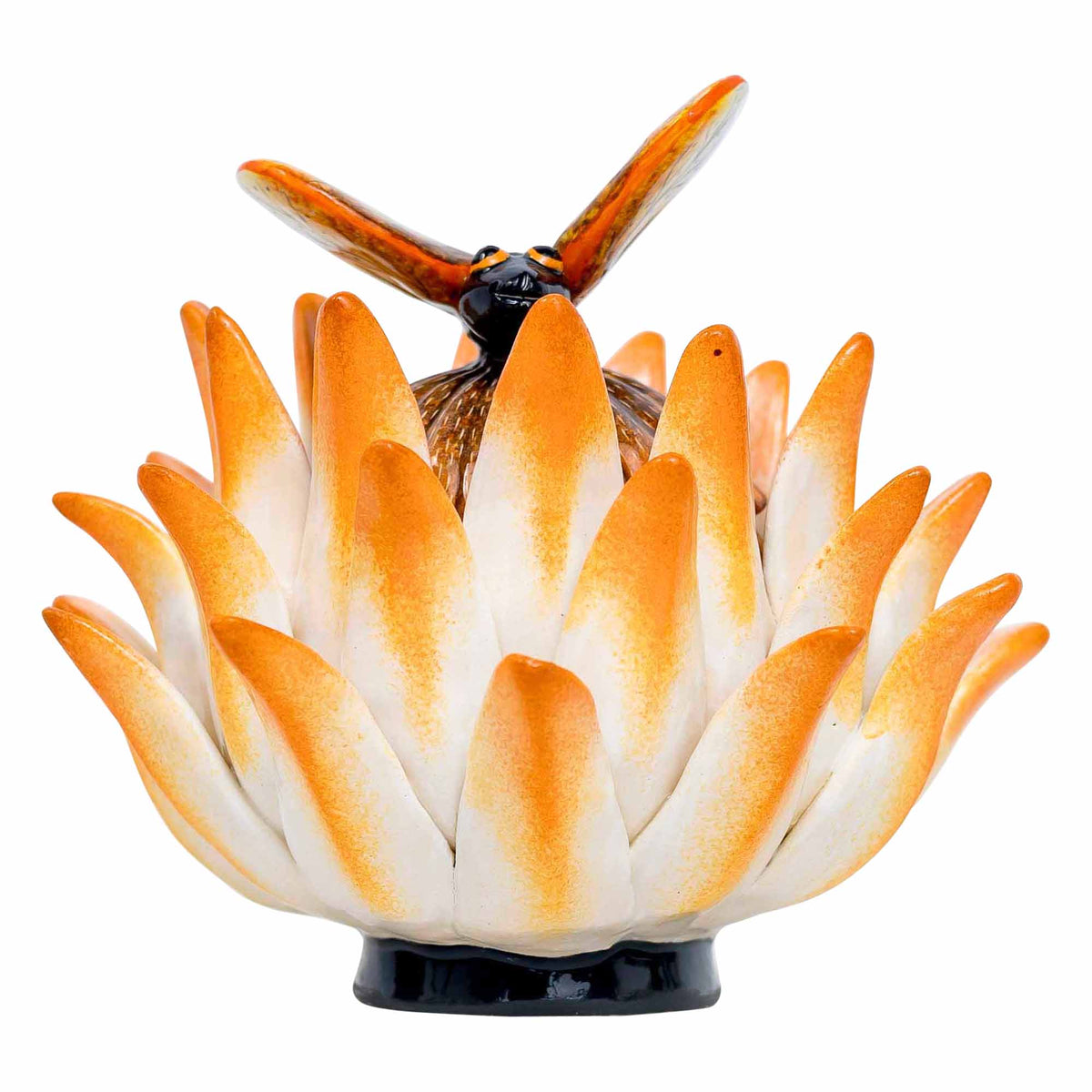 Protea, Butterfly Jewelry Box