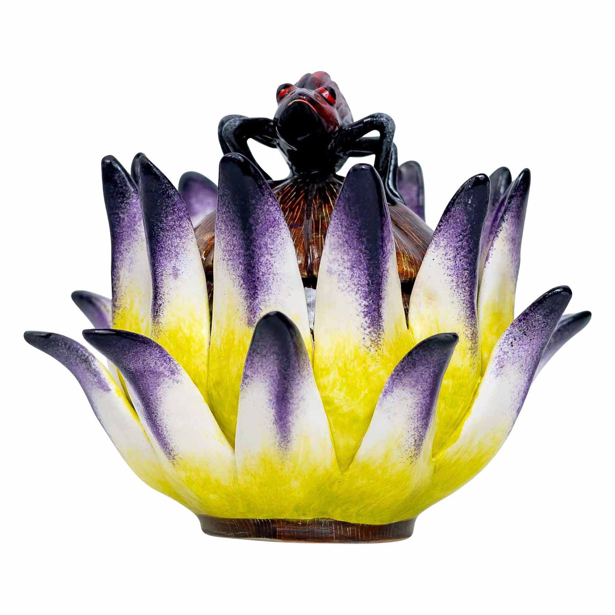 Beetle, Protea Jewelry Box