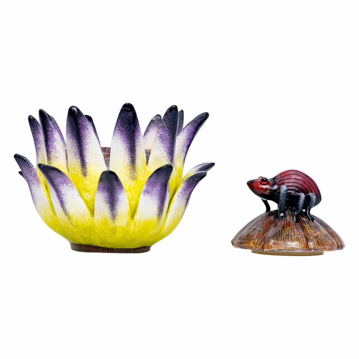 Beetle, Protea Jewelry Box