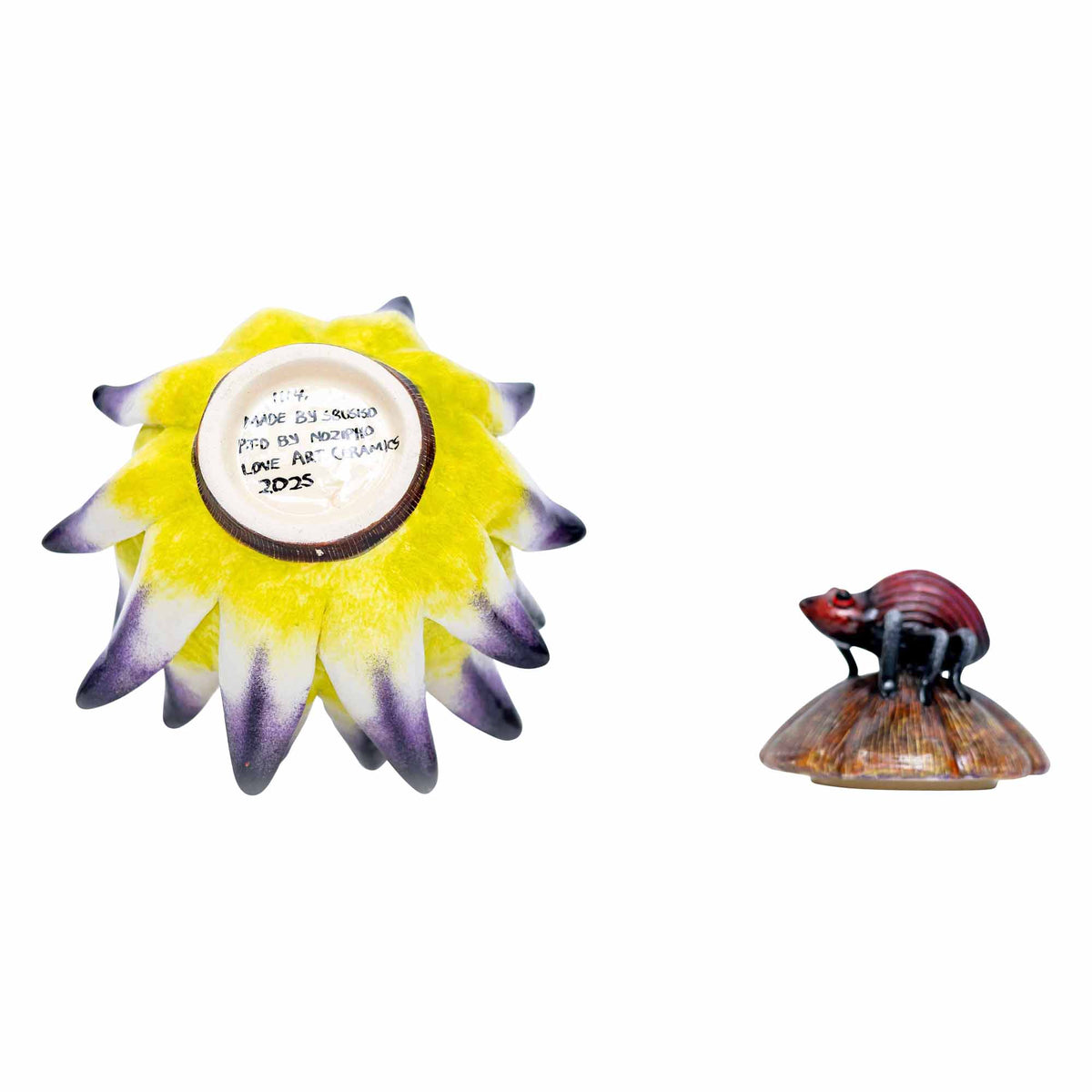Beetle, Protea Jewelry Box