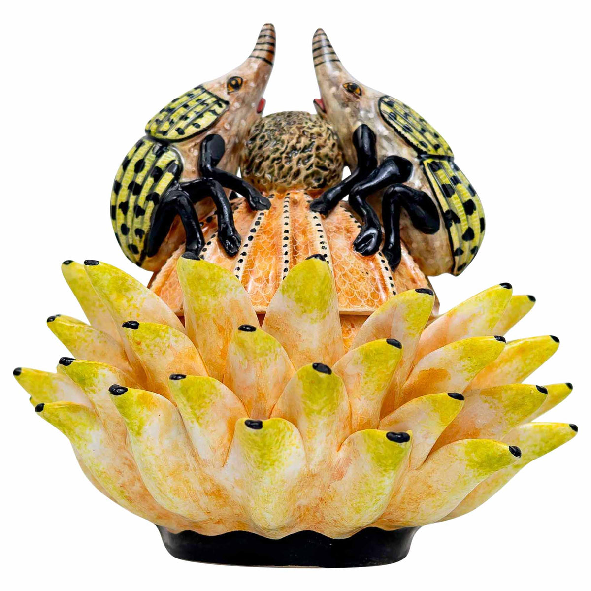 Bettle Protea Jewelry Box