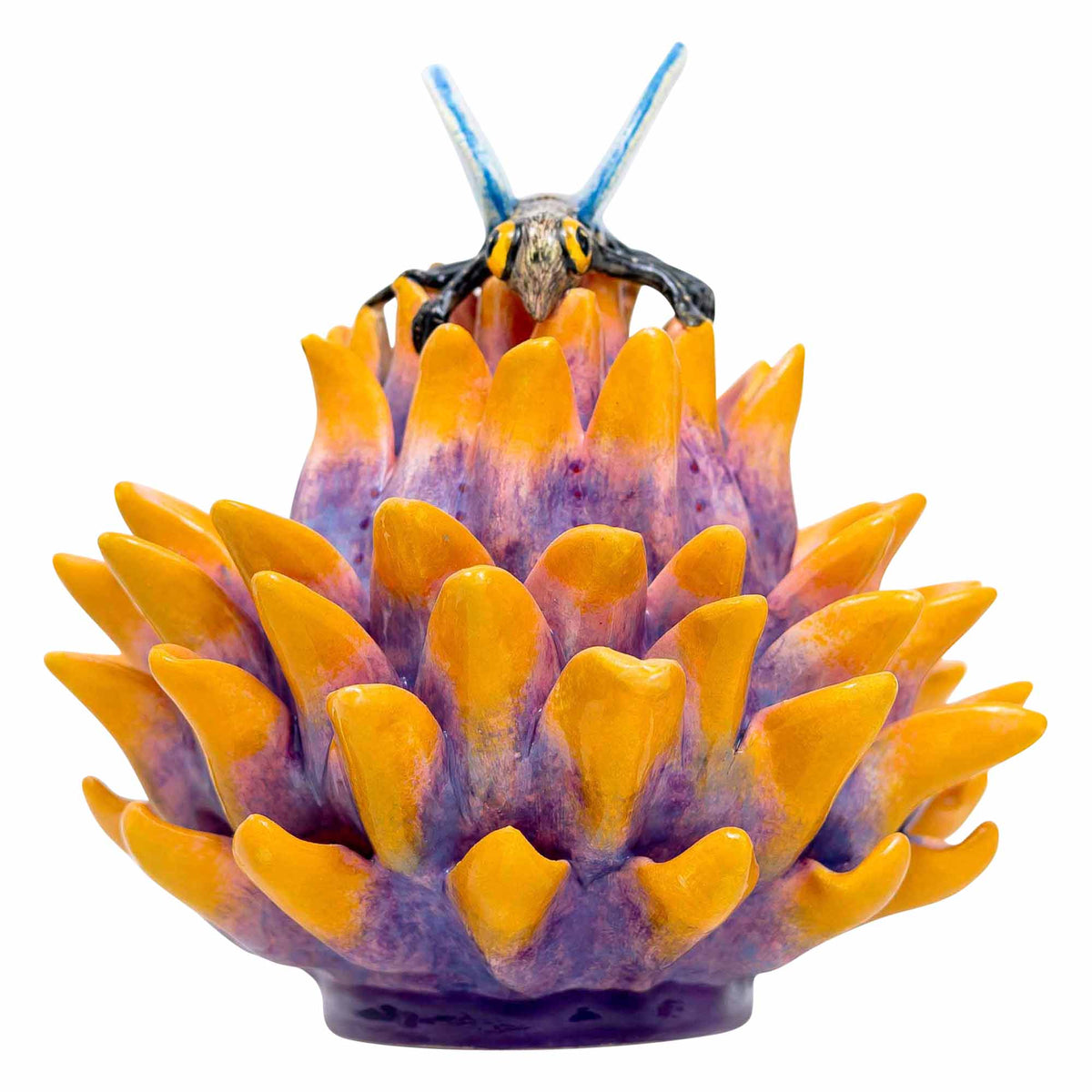 Butterfly, Protea Jewelry Box