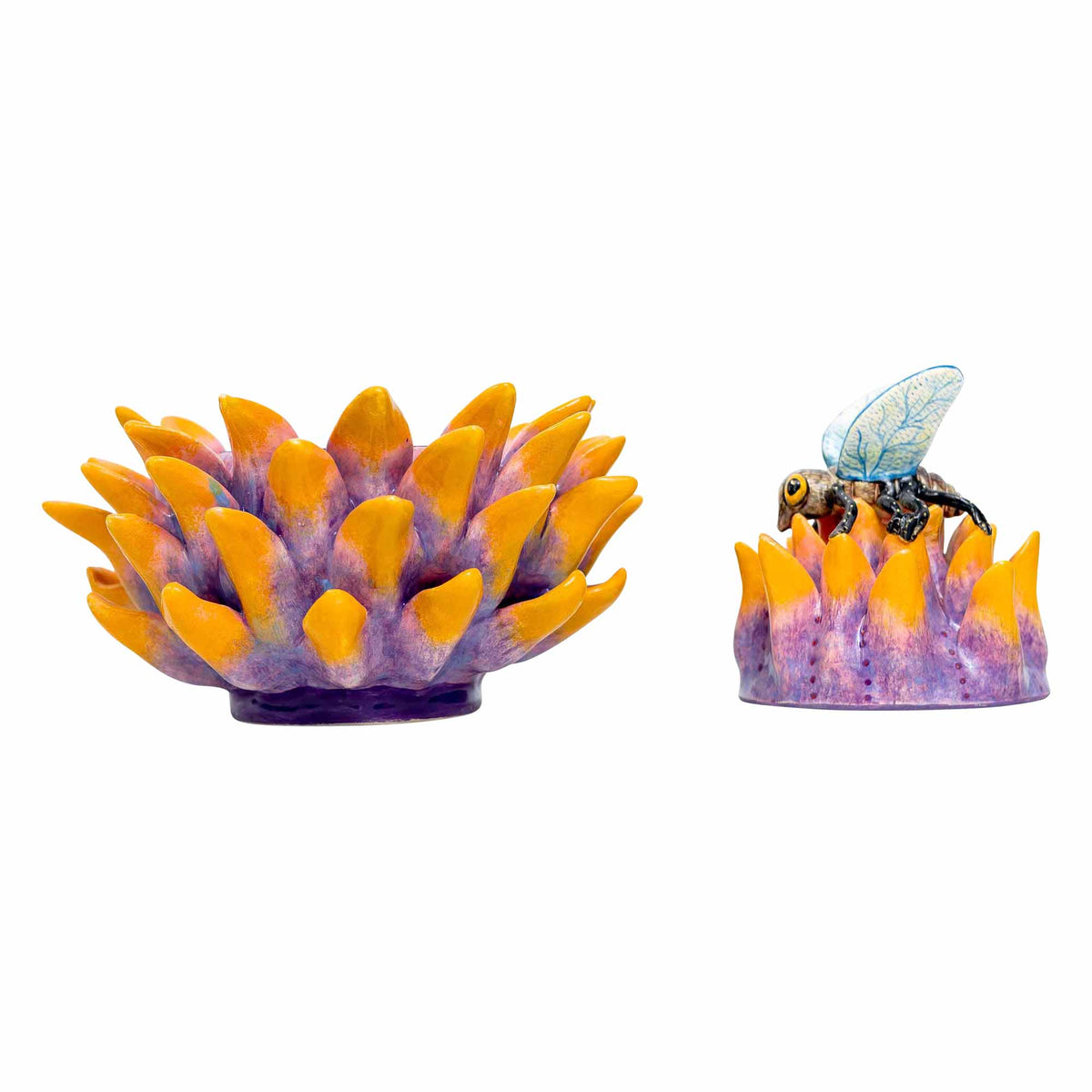 Butterfly, Protea Jewelry Box