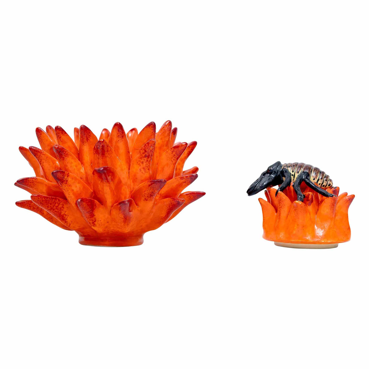 Protea Jewelry Box
