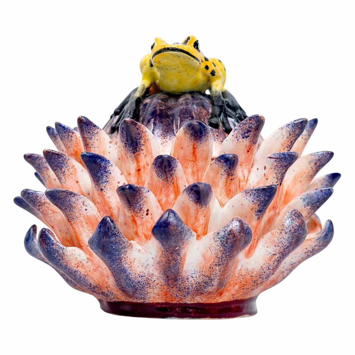 Frog, Protea Jewelry Box