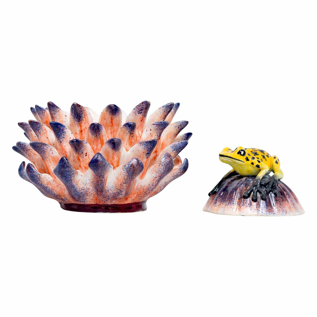 Frog, Protea Jewelry Box
