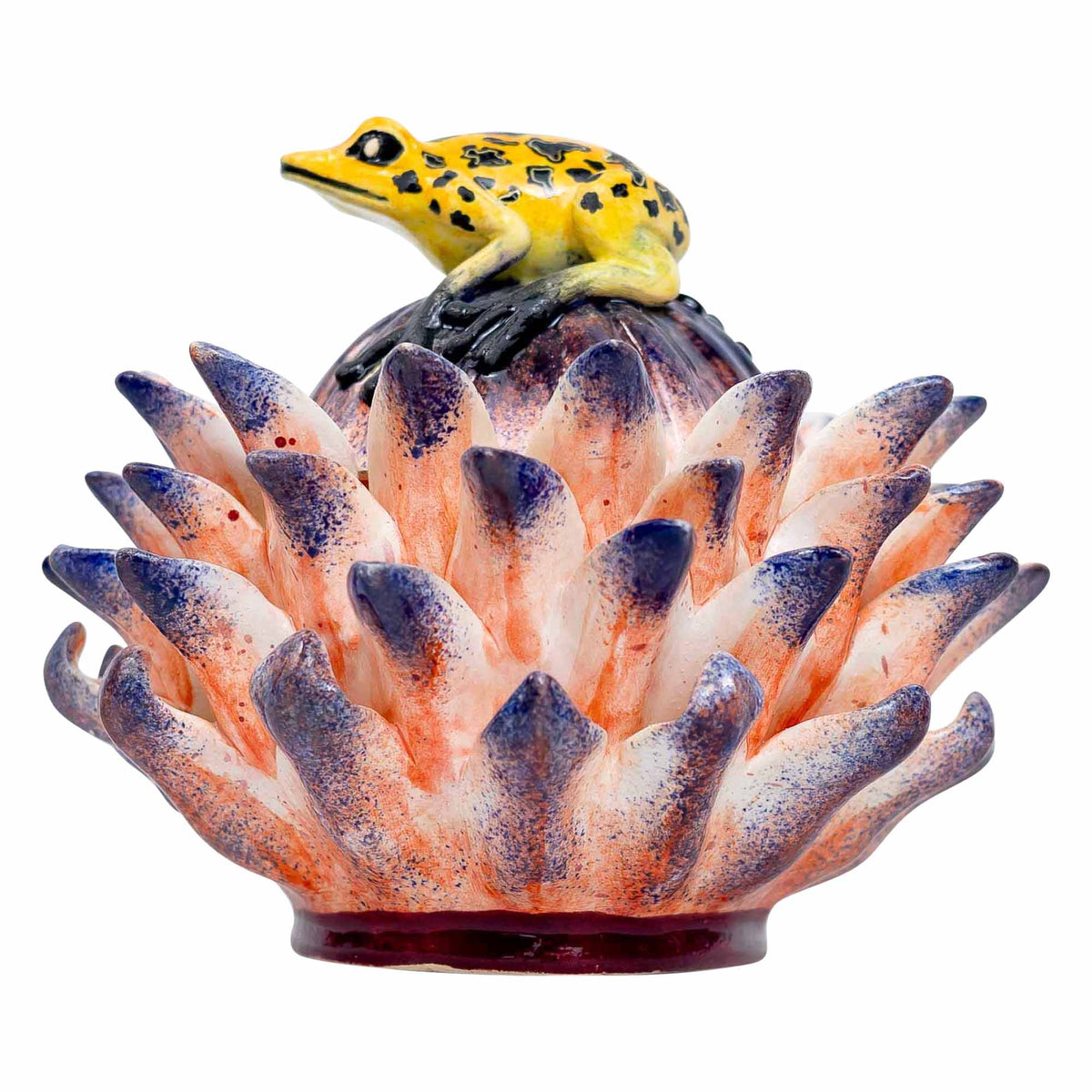 Frog, Protea Jewelry Box