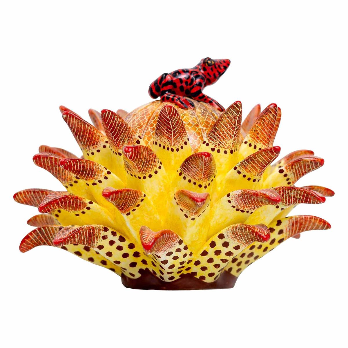 Frog, Protea Jewelry Box