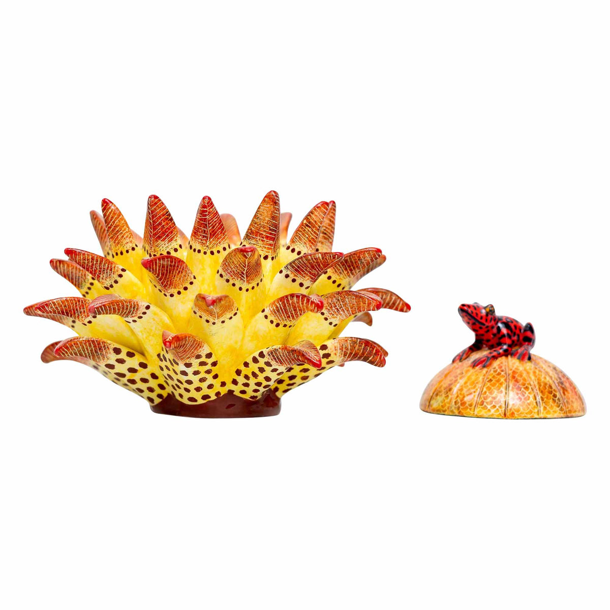 Frog, Protea Jewelry Box