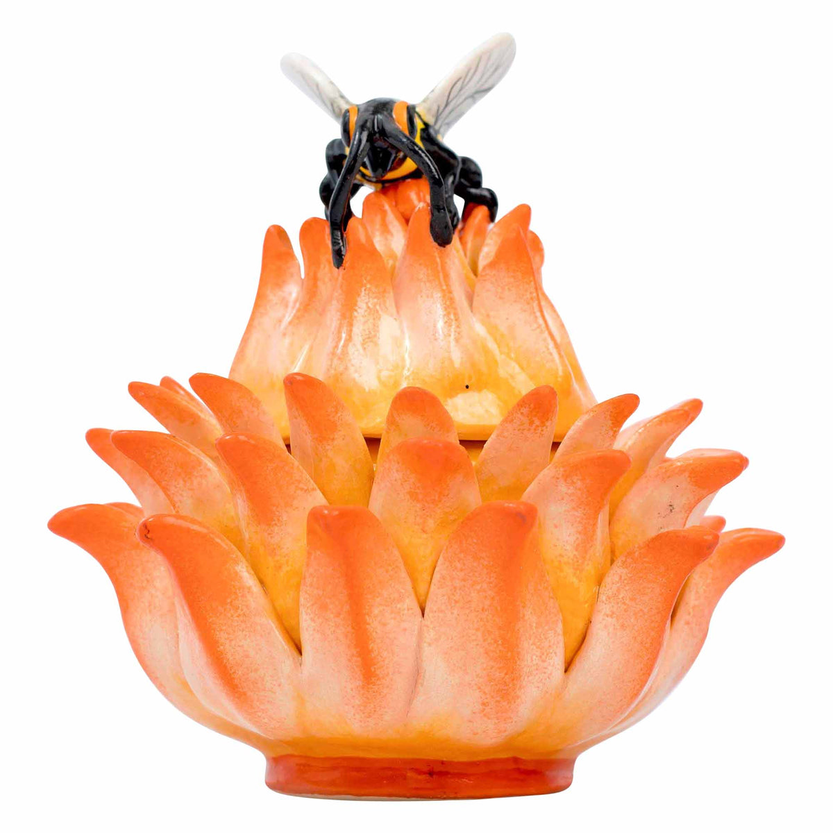 Butterfly, Protea Jewelry Box