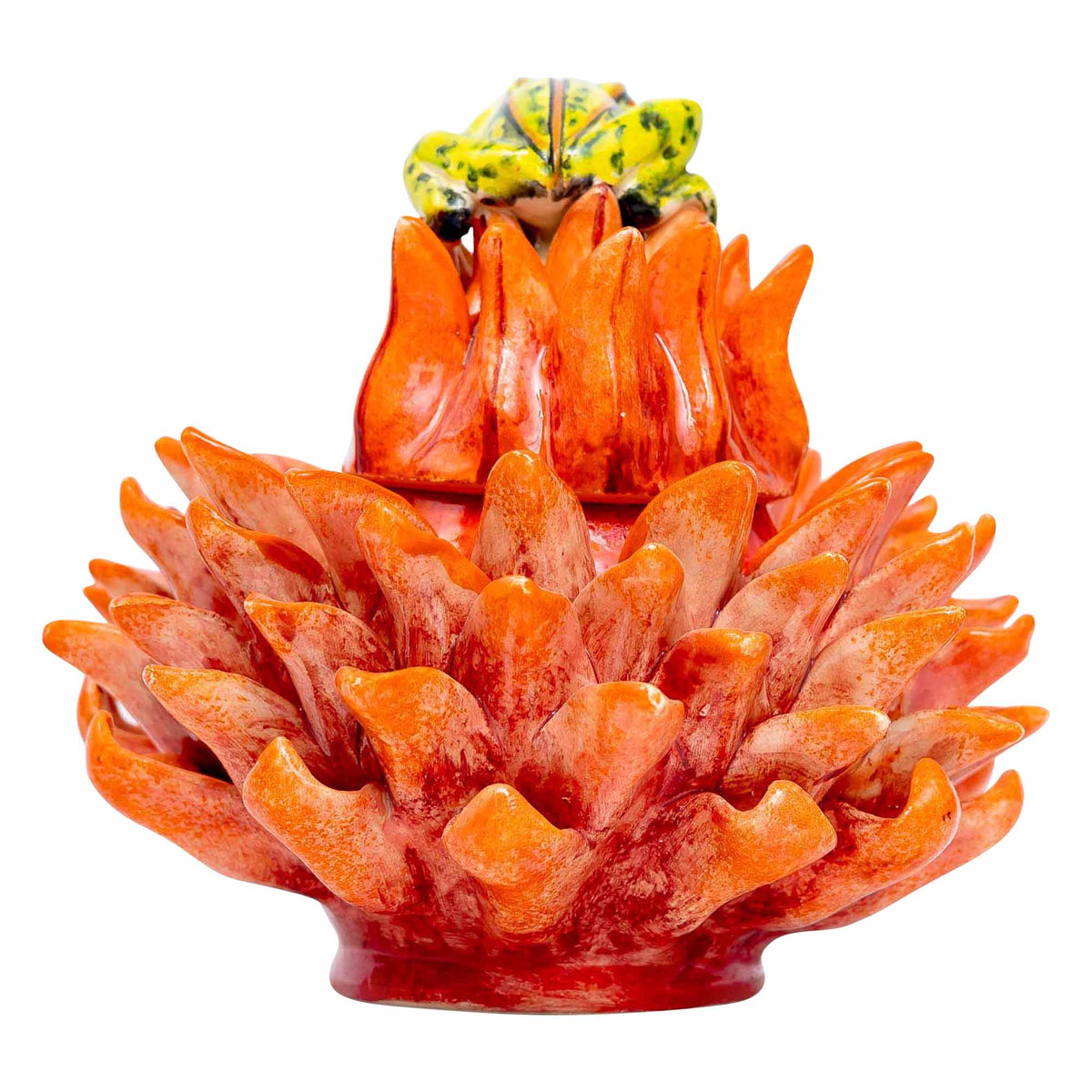 Frog, Protea Jewelry Box