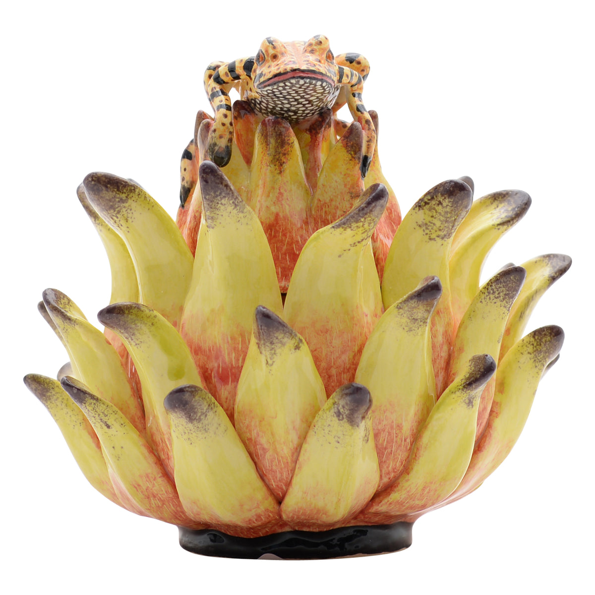 Frog, Protea Jewelry Box