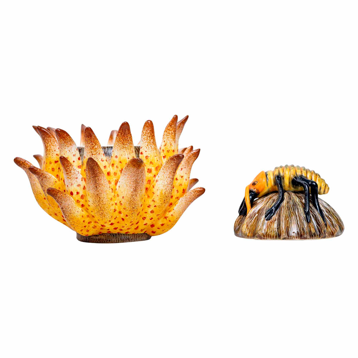 Protea Ant Jewelry Box