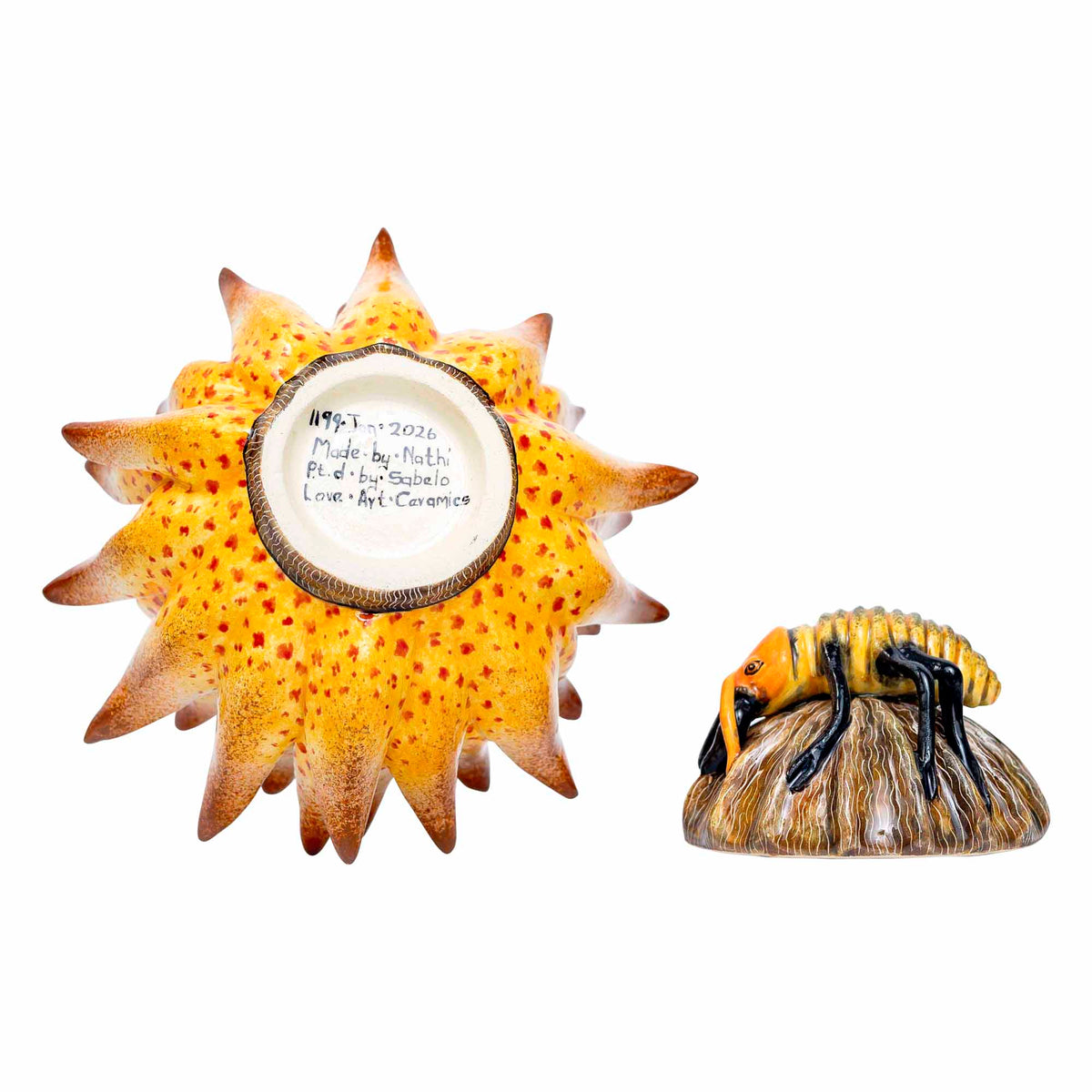 Protea Ant Jewelry Box