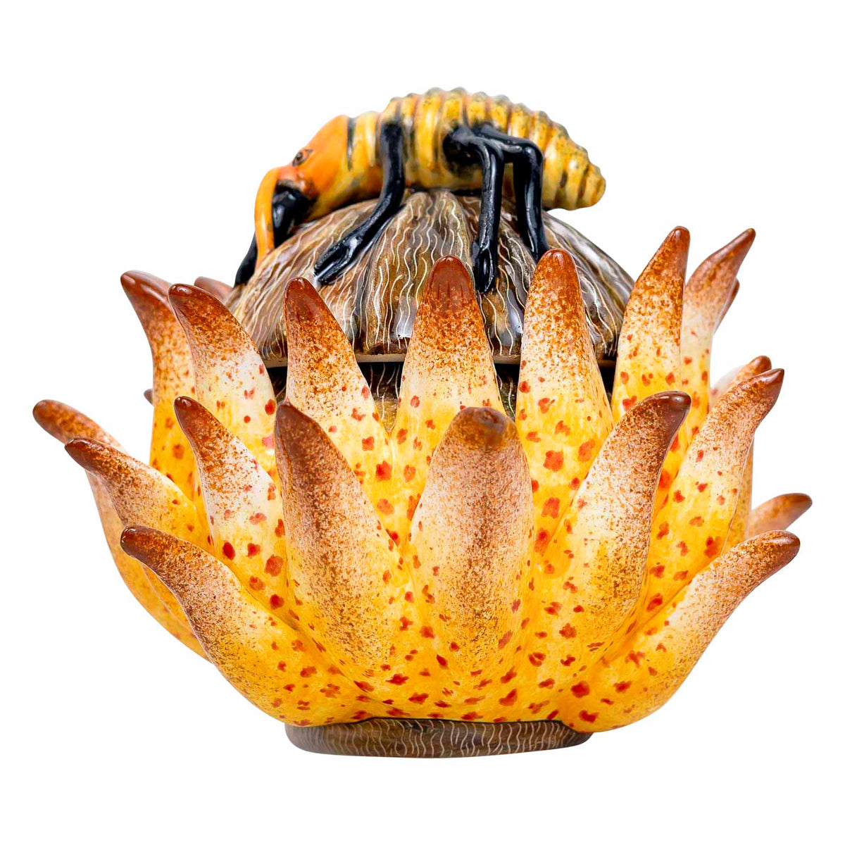 Protea Ant Jewelry Box