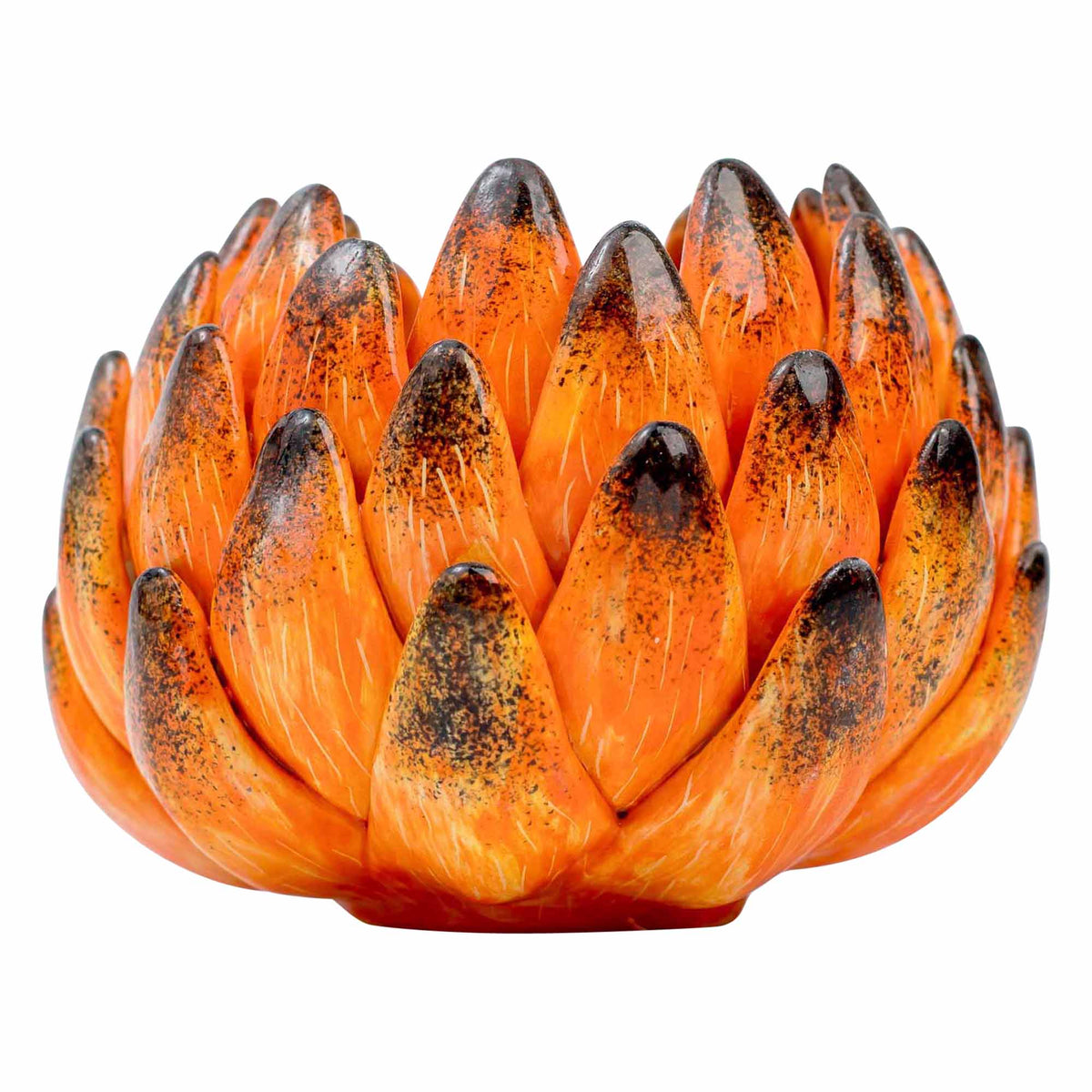 Protea Eggcup