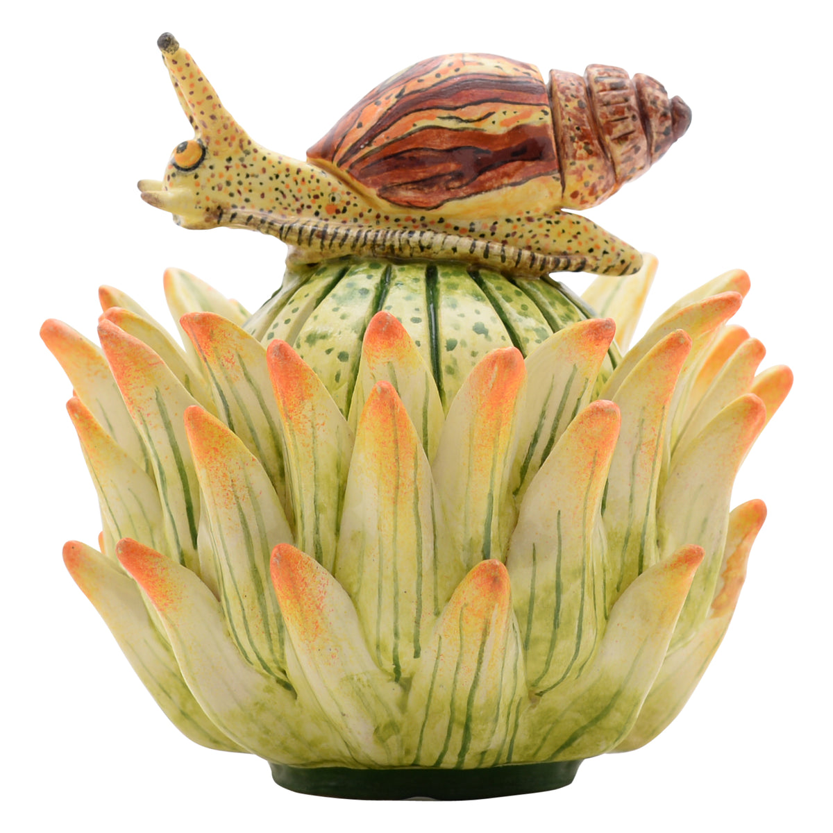 Snail, Protea Jewelry Box