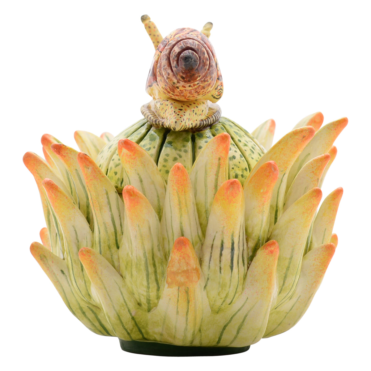 Snail, Protea Jewelry Box