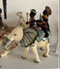 Elephant rider